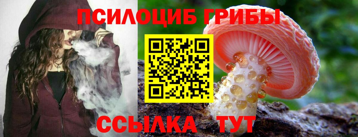 Псилоцибиновые грибы мухоморы  Вход с VPN  Куйбышев 