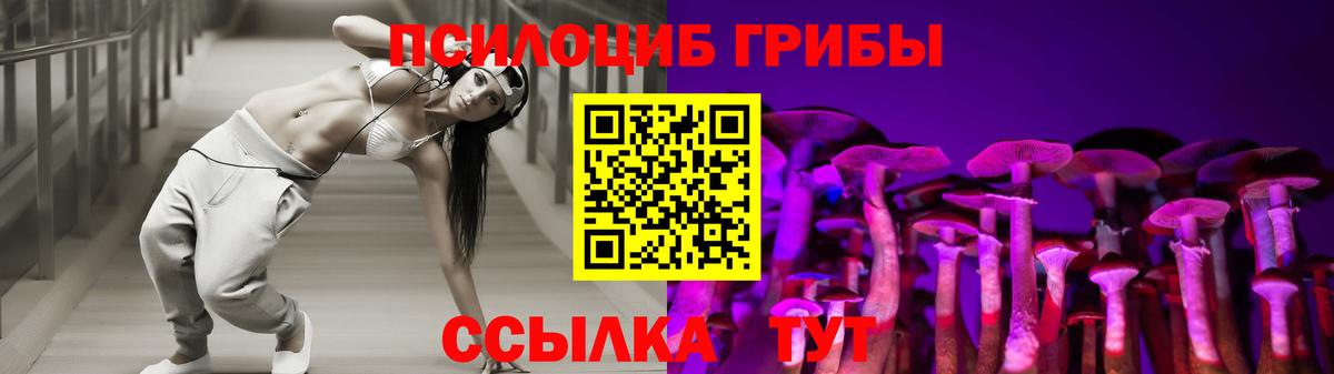 Галлюциногенные грибы прущие грибы Куйбышев